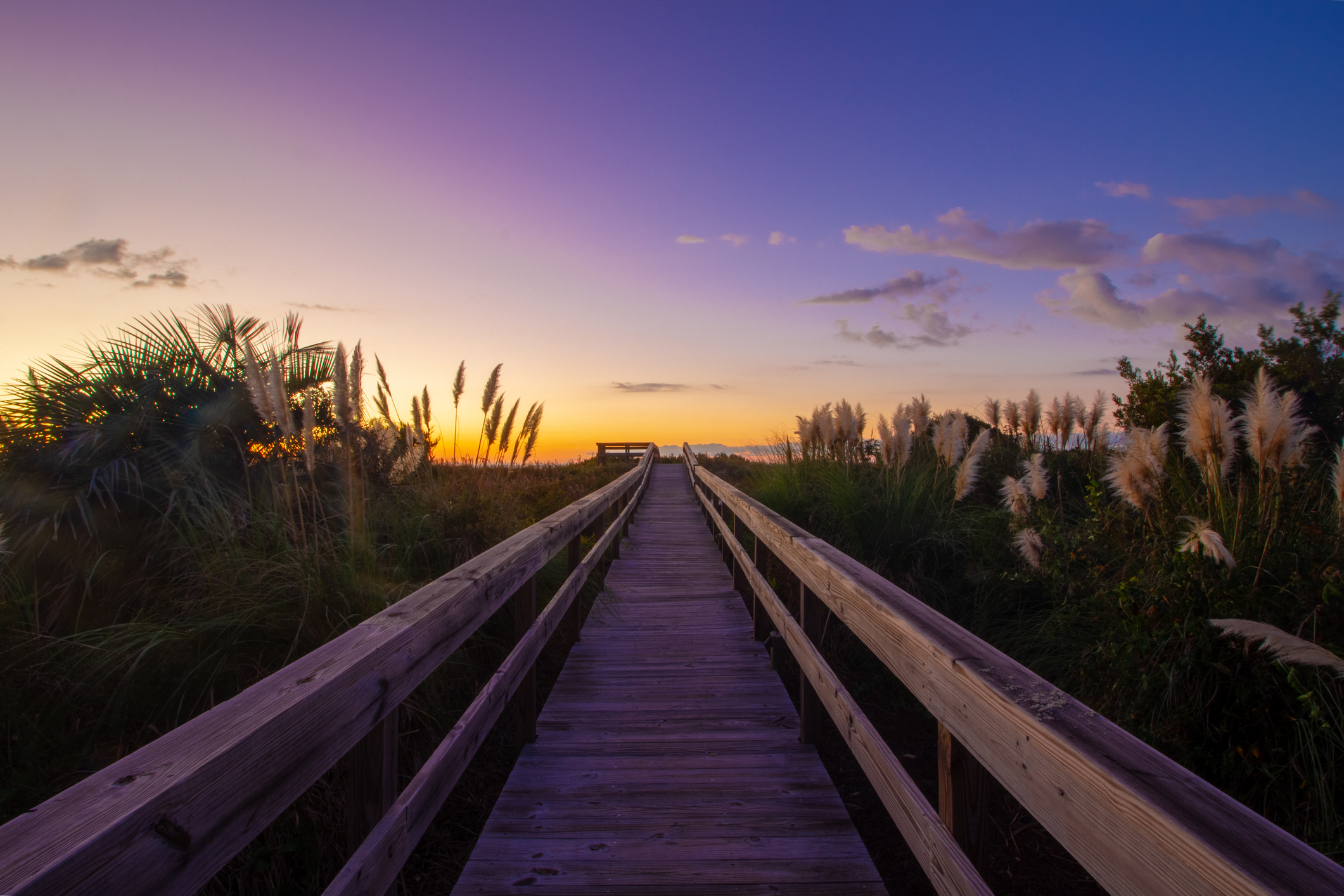 Getting to Isle of Palms