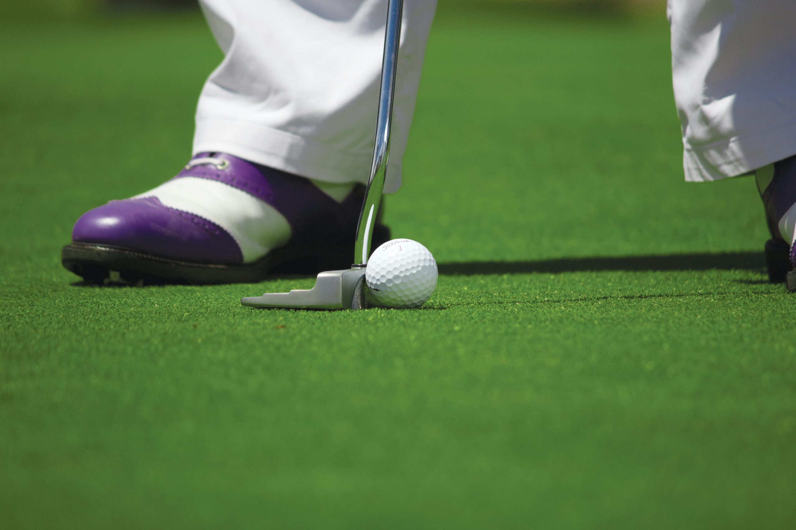 Summer Activities & Attractions - Mini Golf 