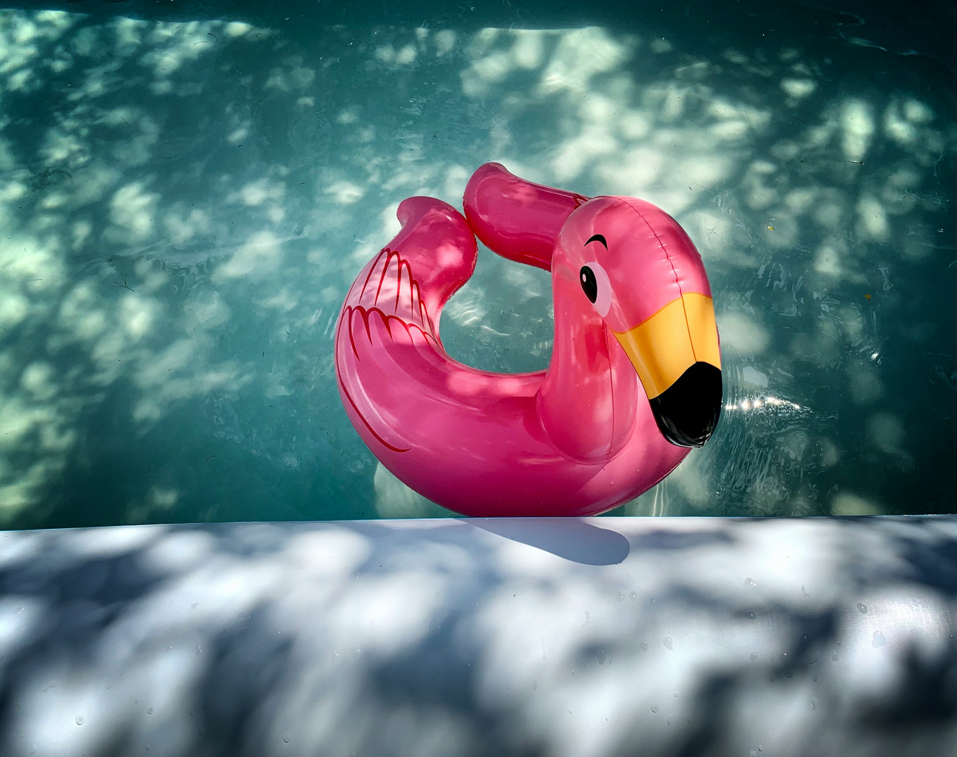 Flamingo pool float