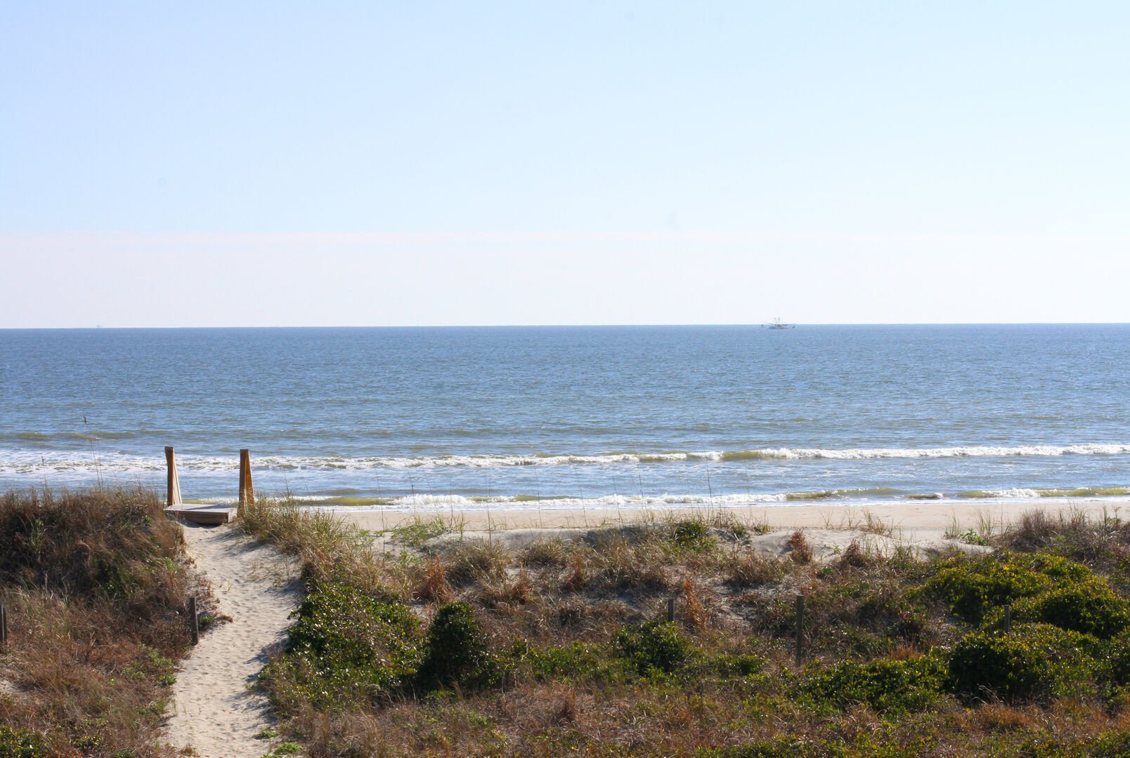 Isle of Palms Summer